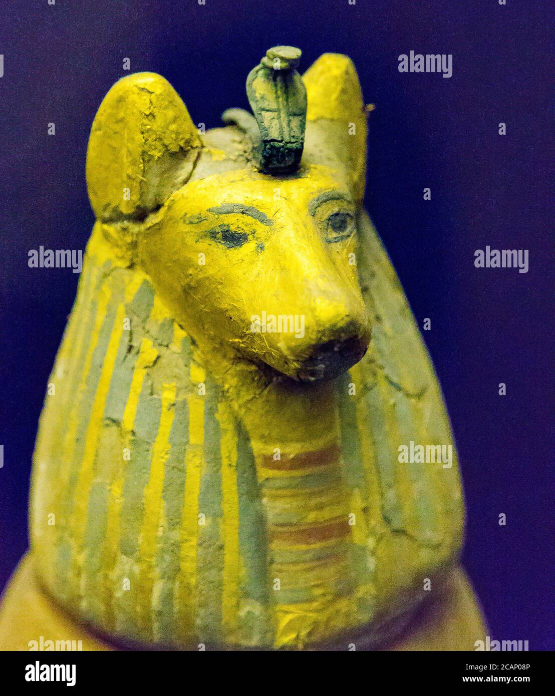 Ägypten, Kairo, Ägyptisches Museum, gefunden in der königlichen Nekropole von Tanis, 1 der 4 Leinwandvasen des Königs Psusennes. Der Stecker ist ein Schakalkopf. Stockfoto