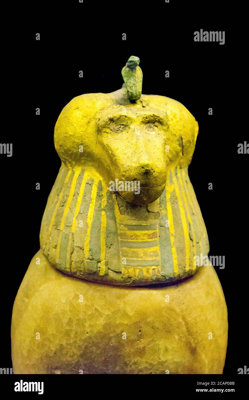 Ägypten, Kairo, Ägyptisches Museum, gefunden in der königlichen Nekropole von Tanis, 1 der 4 Leinwandvasen des Königs Psusennes. Der Stecker ist ein Affenkopf. Stockfoto