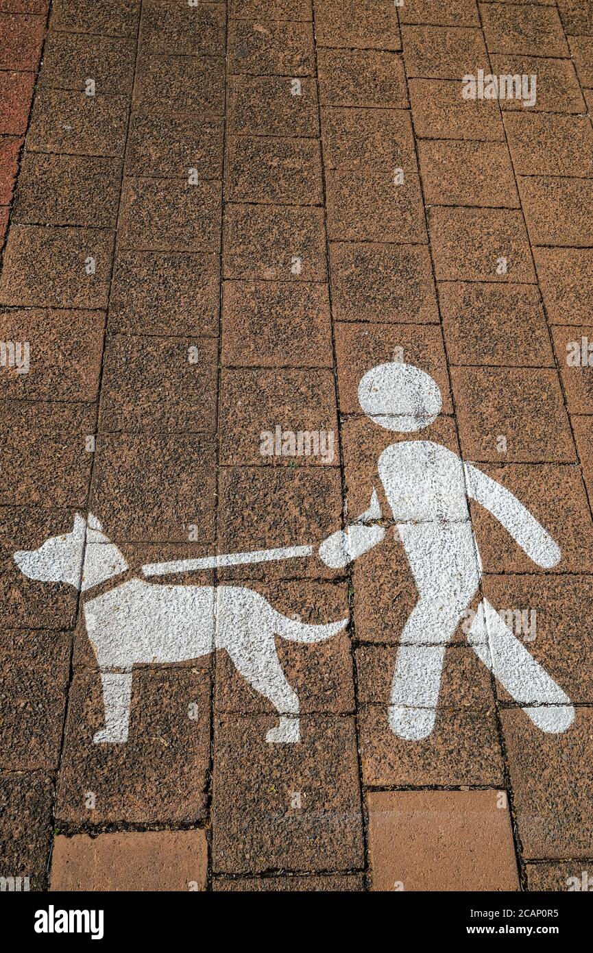Schild, das Hundebesitzer bittet, ihre Hunde an einer Leine oder Leine zu halten, gemalt auf dem Fußweg. Stockfoto
