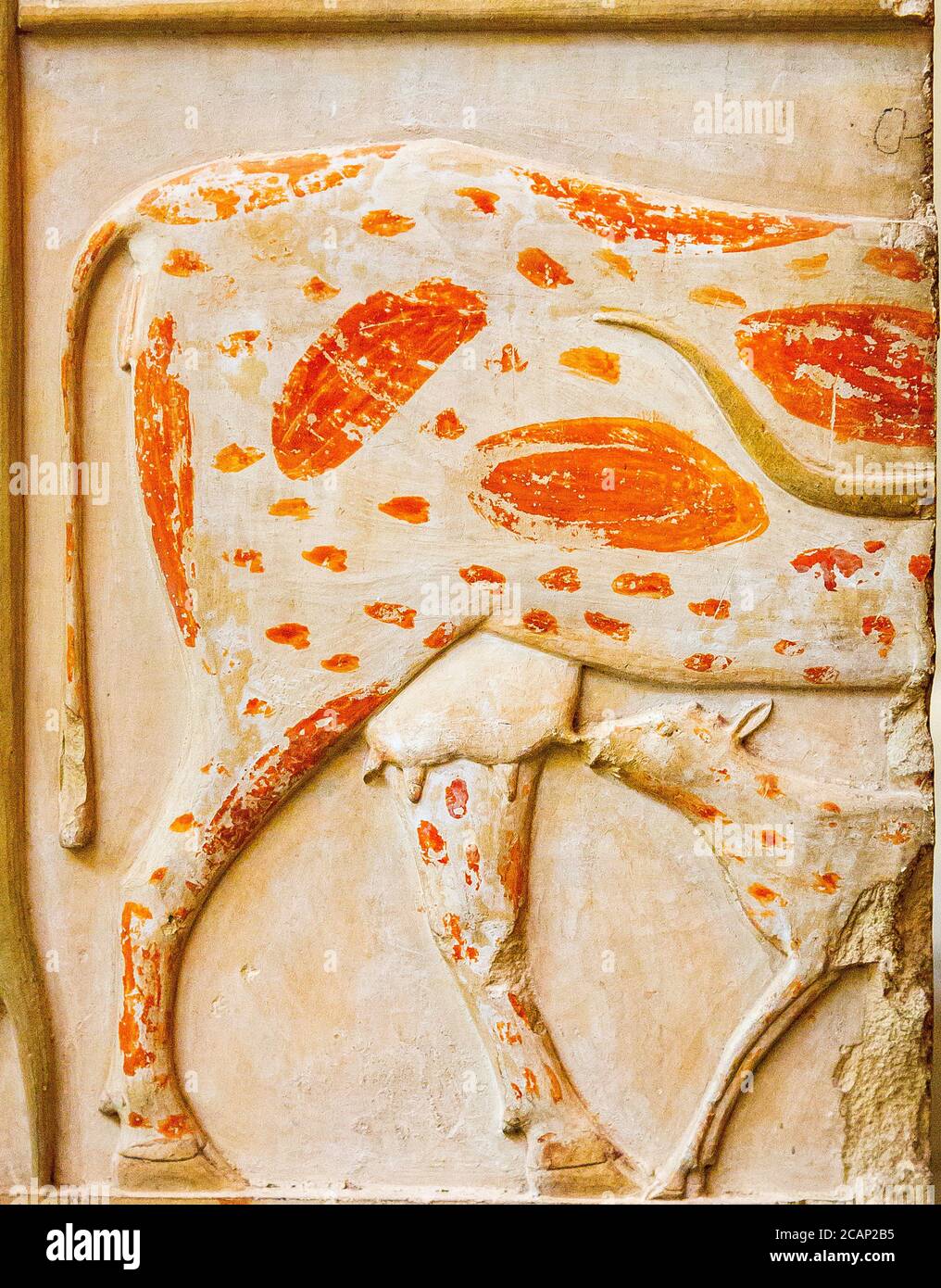 Kairo, Ägyptisches Museum, Schrein der Königin Ashait, Ostseite. Ashait war eine Frau von Montuhotep 2, Dynastie 11. Kalkstein, gefunden in Deir el Bahari. Stockfoto