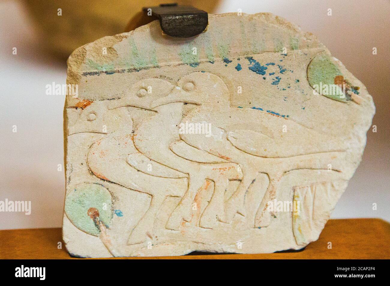 Ägypten, Kairo, Ägyptisches Museum, Fragment eines Grabes in Saqqara, Enten schnappen. Stockfoto
