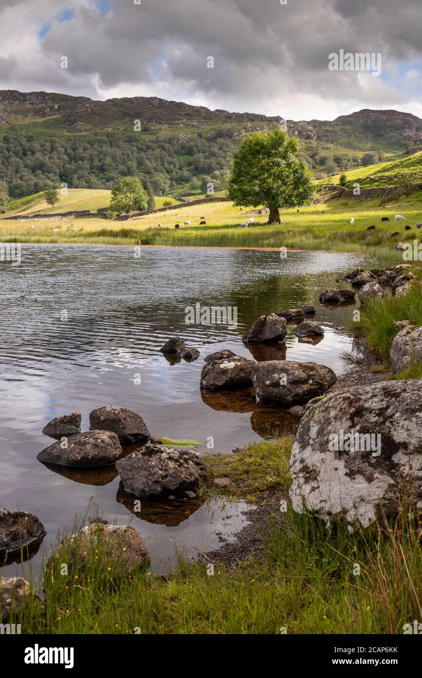 Watendlath Tarn im Lake District, England Stockfoto