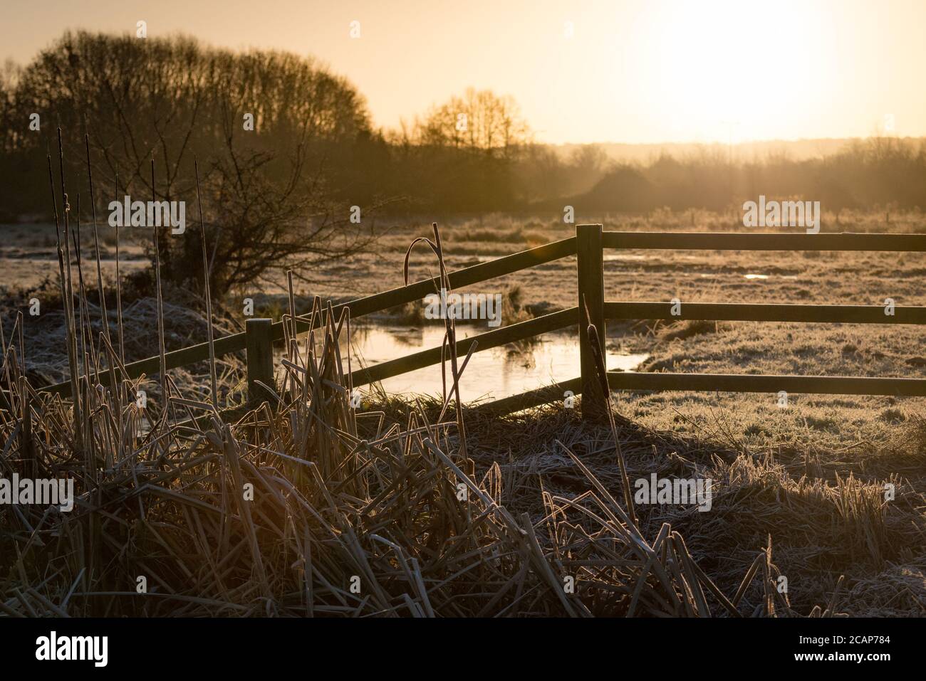 Ein Holzzaun und ein Teich im Winter in Cornmill Meadow, Waltham Abbey, Essex, Großbritannien Stockfoto
