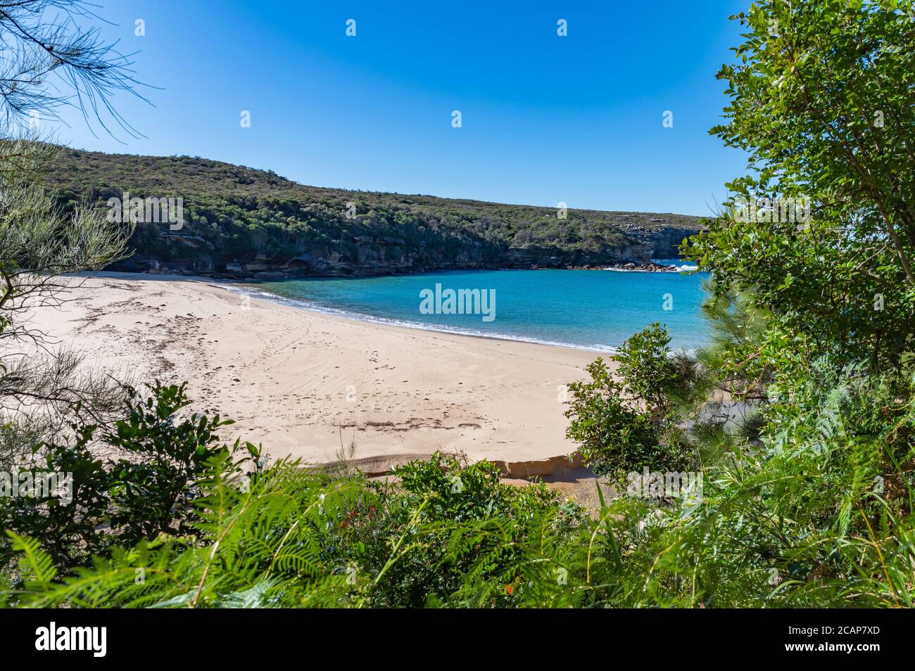 Blick auf Wattamolla Beach vom Providential Foot Track mit Australier Büsche an einem sonnigen Winternachmittag Stockfoto