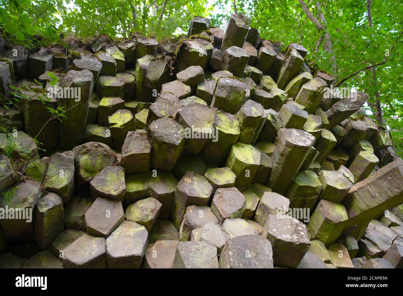 Deutschland, Rhön-Gebirge. Am Gangolgsberg-Standort erscheinen die Basaltsäulen als horizontale Wand Stockfoto