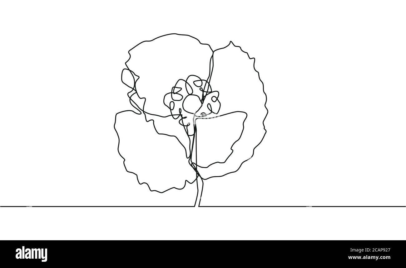 Poppy Blume Linie Kunst. Minimalistische Kontur Zeichnung. Bildmaterial mit einer Zeile Stock Vektor