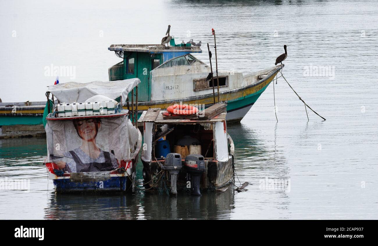 Pelikane auf Fischerbooten in der Nähe der Docks und Markt in Panama City, Panama, Mittelamerika Stockfoto