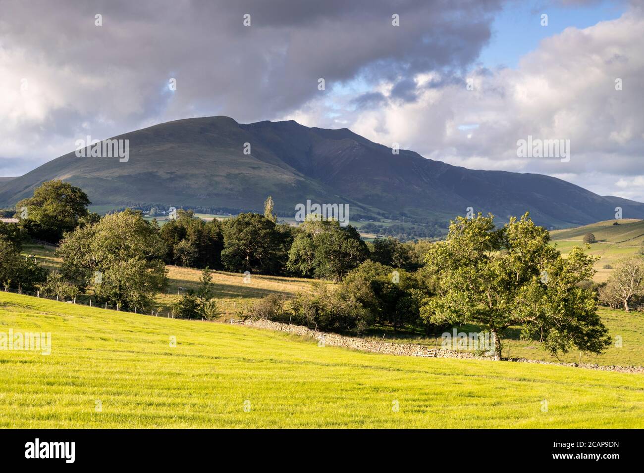 Felder und Berge bei Castlerigg, Lake District, England Stockfoto