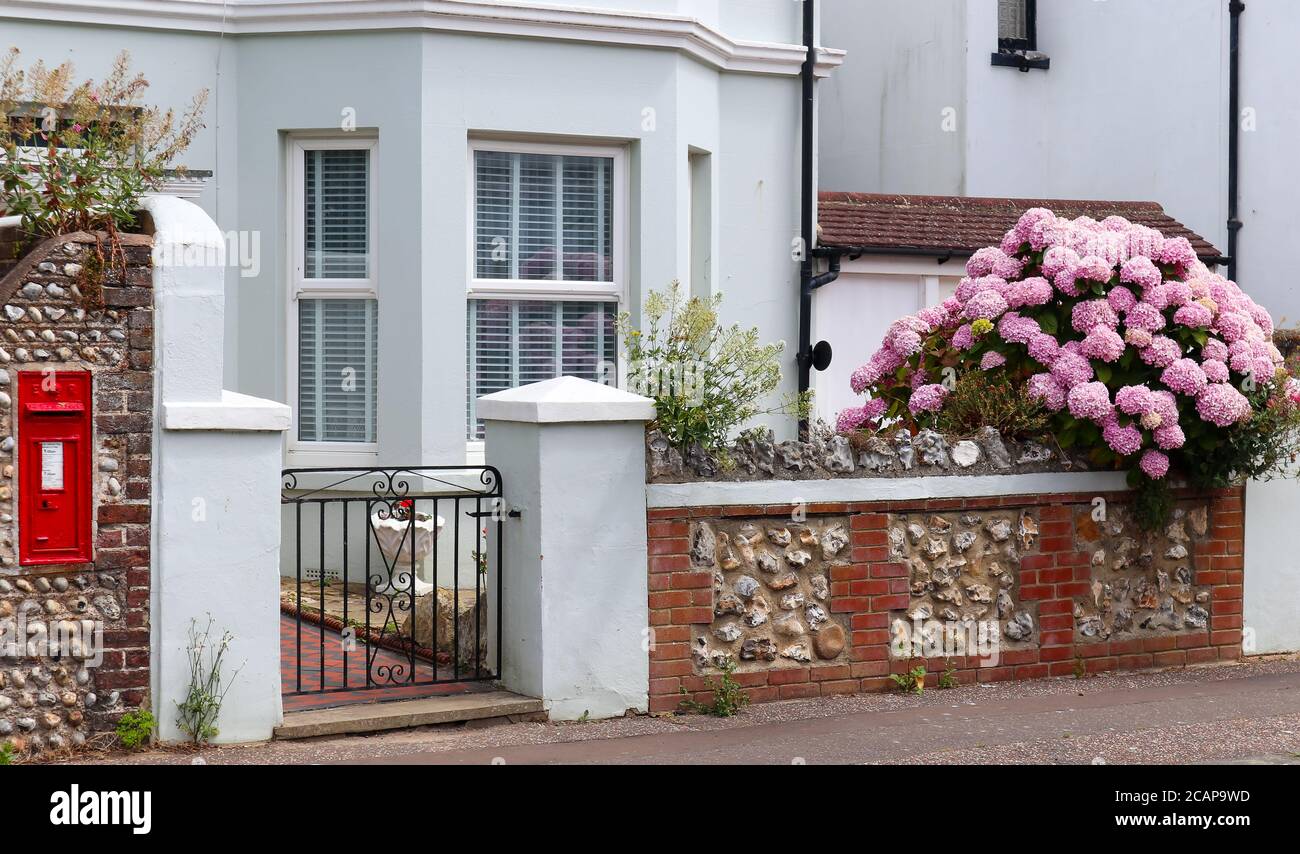 Eine englische Küstenfront Gartenmauer im Sommer, mit flinten Seesteinwänden, einem roten Briefkasten und die Südküstengärtner bevorzugten Pflanzenhortensien. Stockfoto