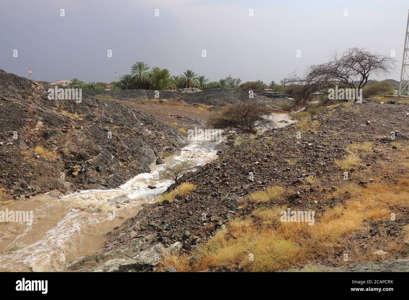 Natur Stockfoto