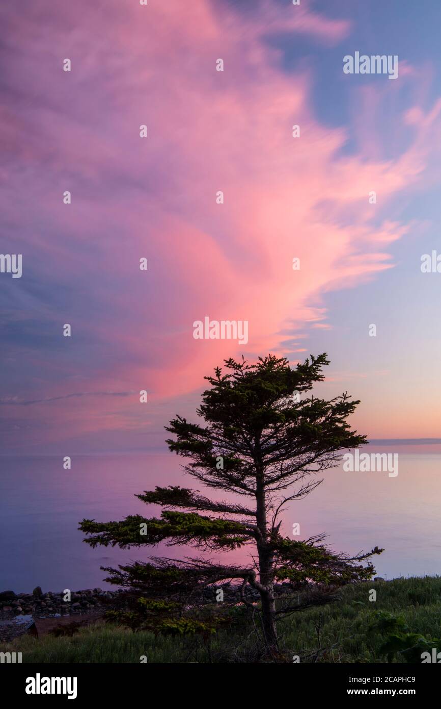 Sonnenaufgang Licht auf Wolken mit Blick auf den Golf von St. Lawrence, in der Nähe von Sally's Cove, Neufundland und Labrador NL, Kanada Stockfoto