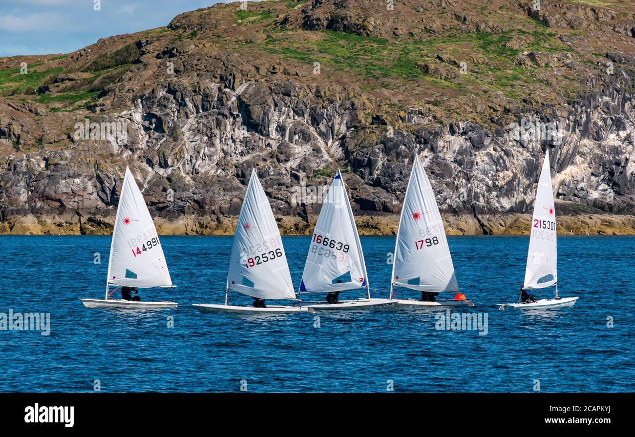 North Berwick, East Lothian, Schottland, 8. August 2020. UK Wetter: Perfekter Tag für Wassersport. Ein warmer, sonniger Tag im Firth of Forth zieht die Menschen an, um das Wasser zu nehmen. East Lothian Yacht Club veranstaltet ein Clubrennen mit Laser-Segeljinghies, die an Craigleith Island vorbeisegeln Stockfoto