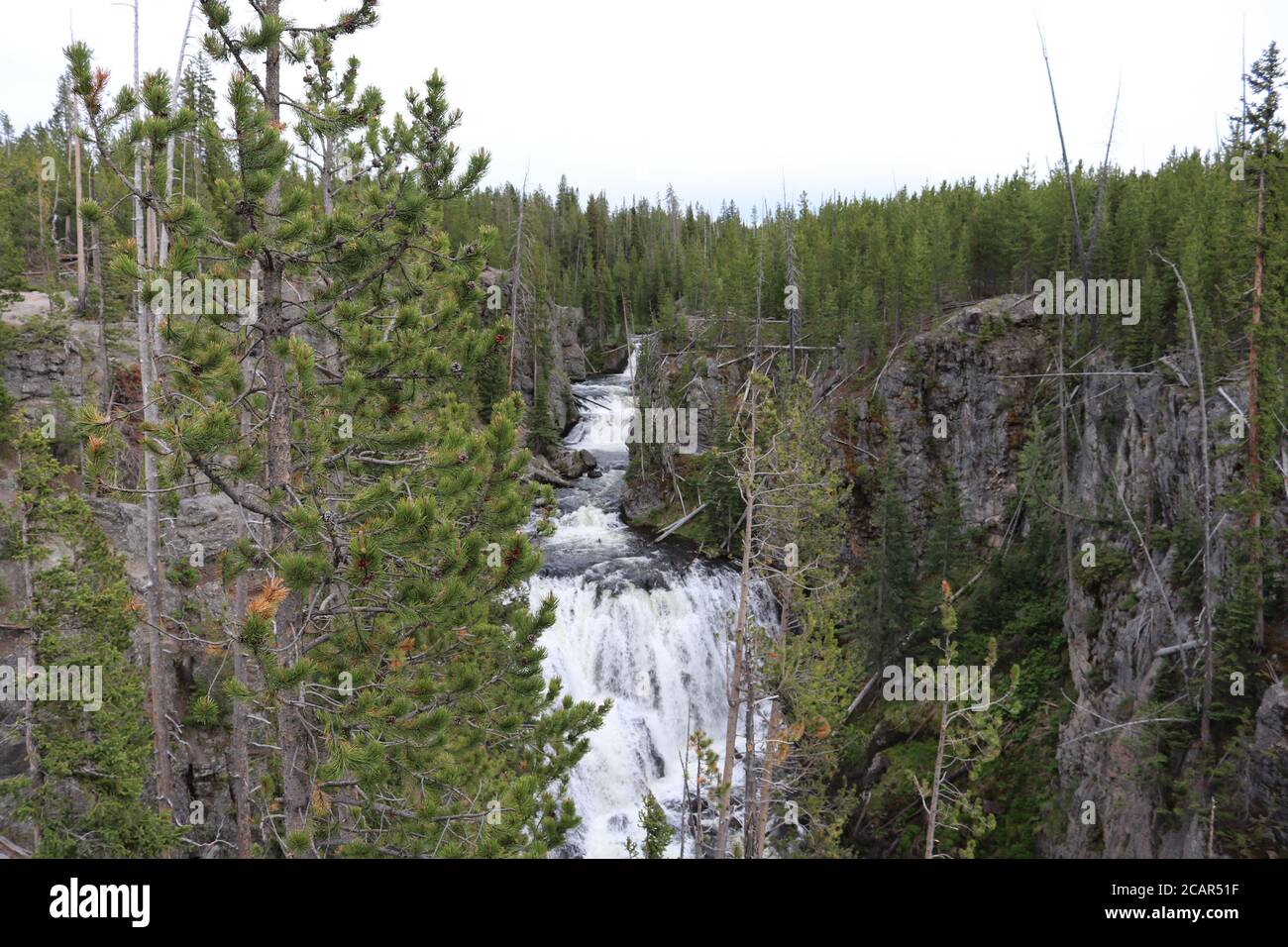 Firehole River und Kepler Cascades Yellowstone National Park, Wyoming USA von Joe C. Stockfoto