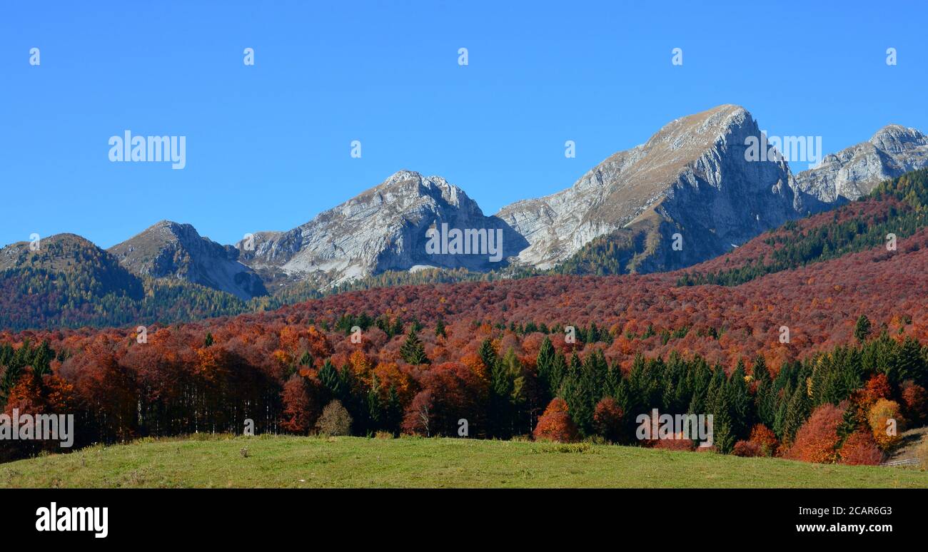 Die Herbstfarben des Col Indes in Tambre d'alpago, Italien Stockfoto