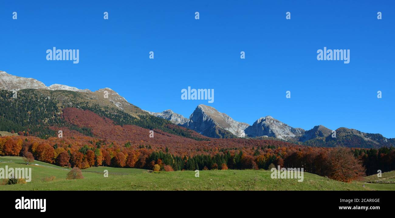 Die Herbstfarben des Col Indes in Tambre d'alpago, Italien Stockfoto