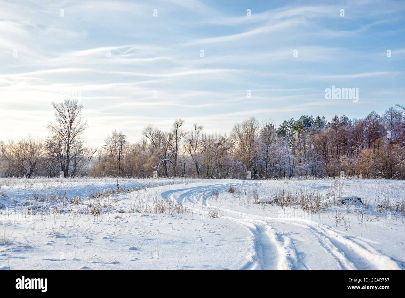 Winterlandschaft mit einer Straße auf der weißen schneebedeckten Weite Und ein Wald gegen den blauen Himmel mit Licht wellig Wolken Stockfoto