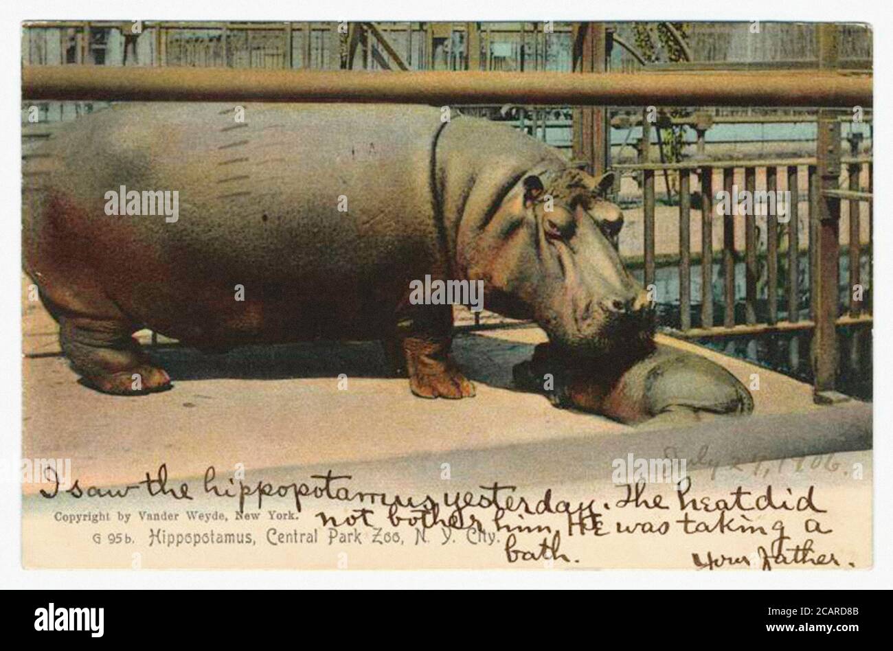 Vintage Tier Illustration Vintage klassische künstlerische Zeichnung Stockfoto