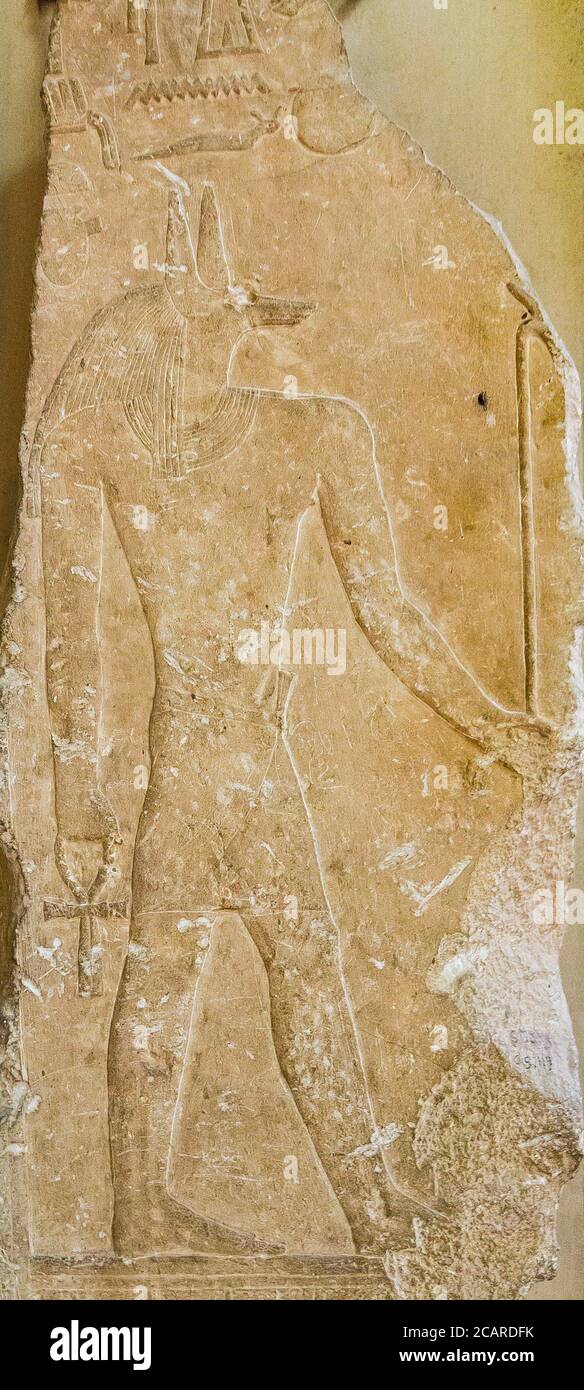 Ägypten, Kairo, Ägyptisches Museum, Relief aus dem Tempel von Unas, Saqqara : Seele von Nekhen, mit Schakal Kopf. Stockfoto