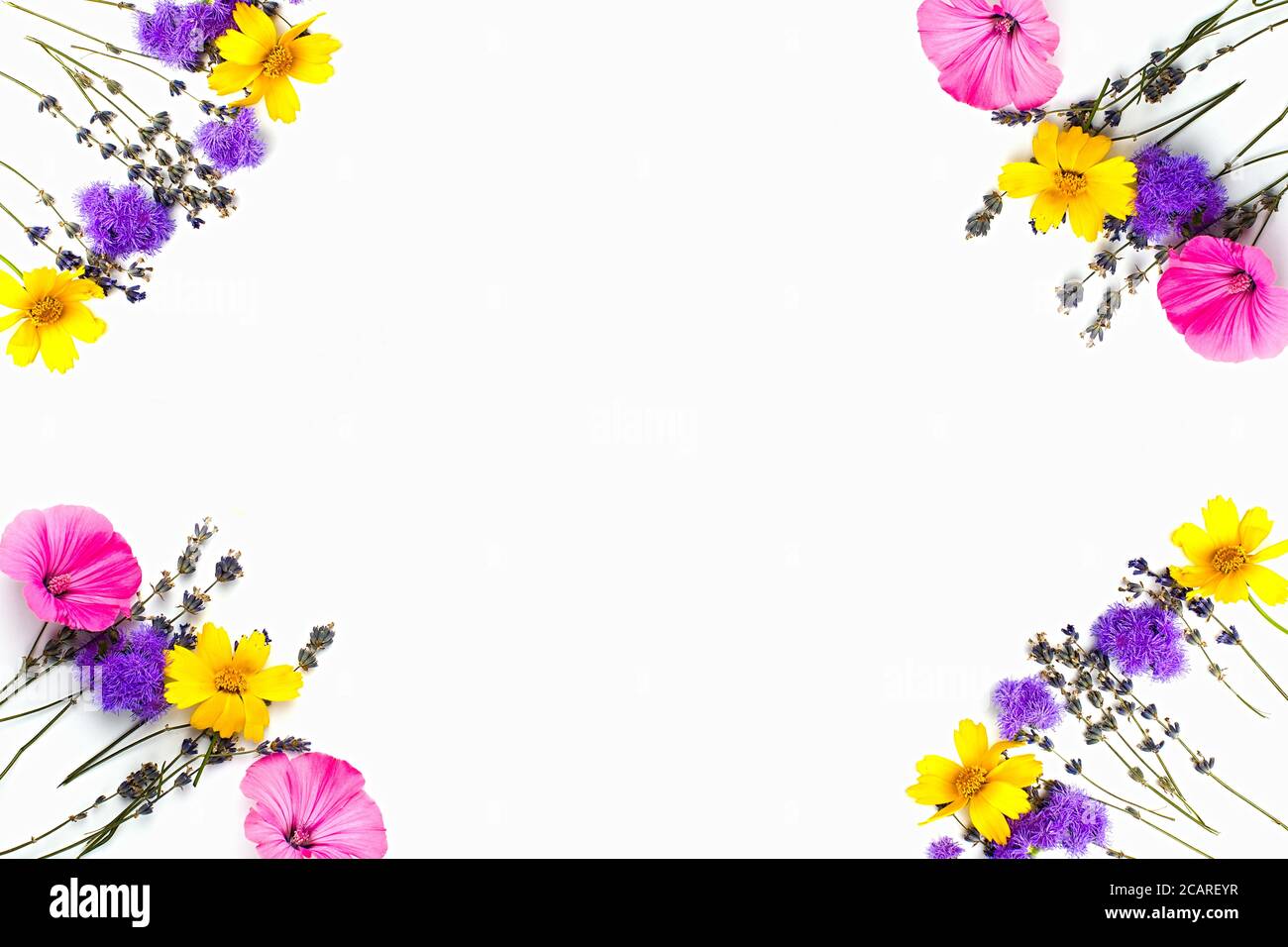 Blumenzusammensetzung. Gelbe und lila Blüten auf weißem Hintergrund. Frühling, osterkonzept. Flach liegend, Draufsicht, Kopierbereich Stockfoto