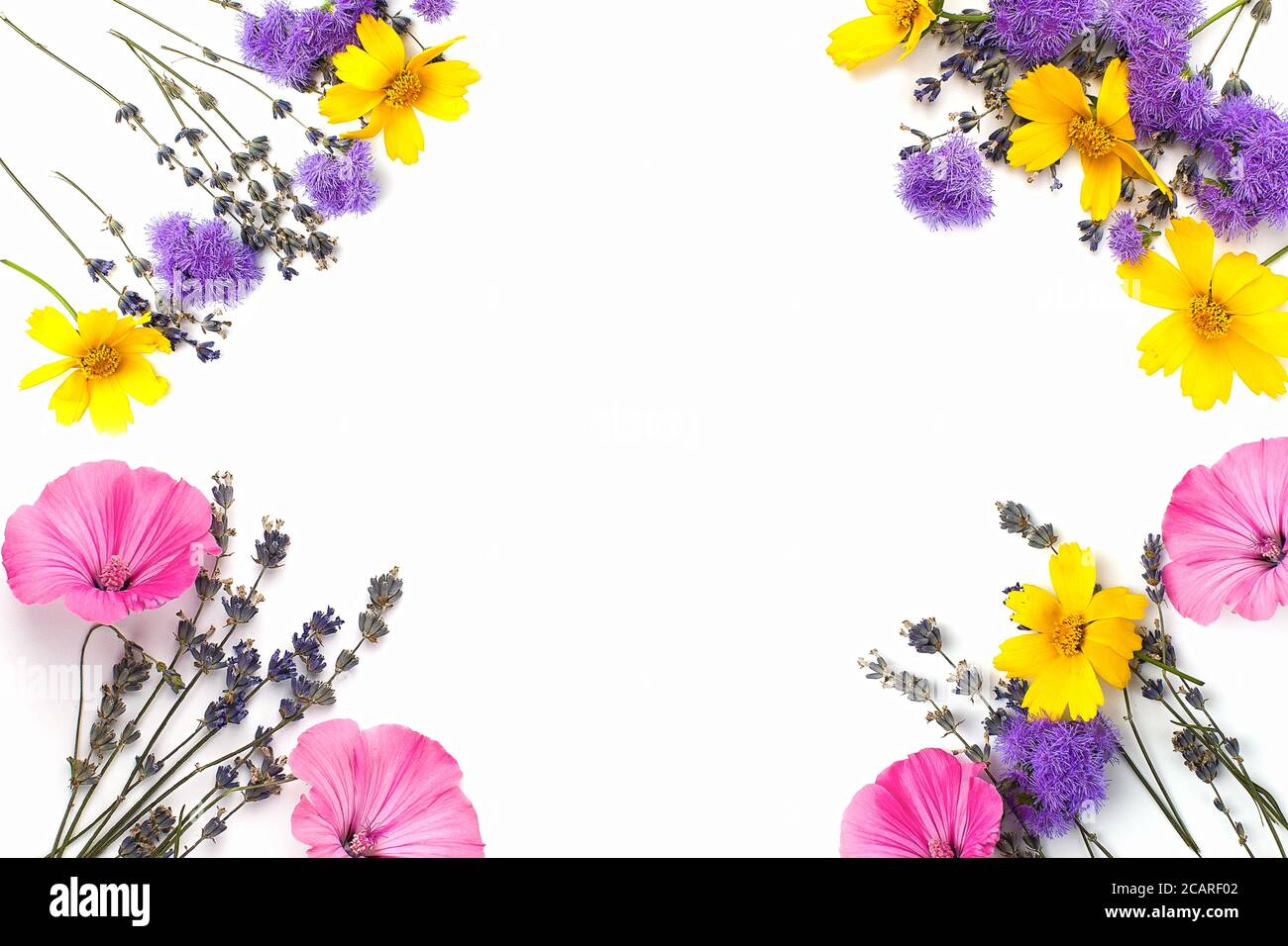 Blumenzusammensetzung. Gelbe und lila Blüten auf weißem Hintergrund. Frühling, osterkonzept. Flach liegend, Draufsicht, Kopierbereich Stockfoto