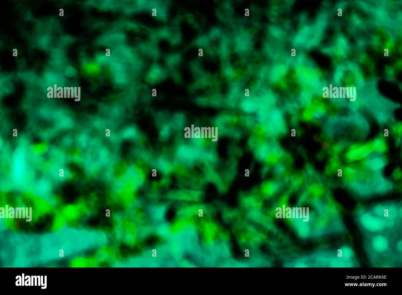 Grün und Schwarz verschwommen Hintergrund Textur Stockfoto