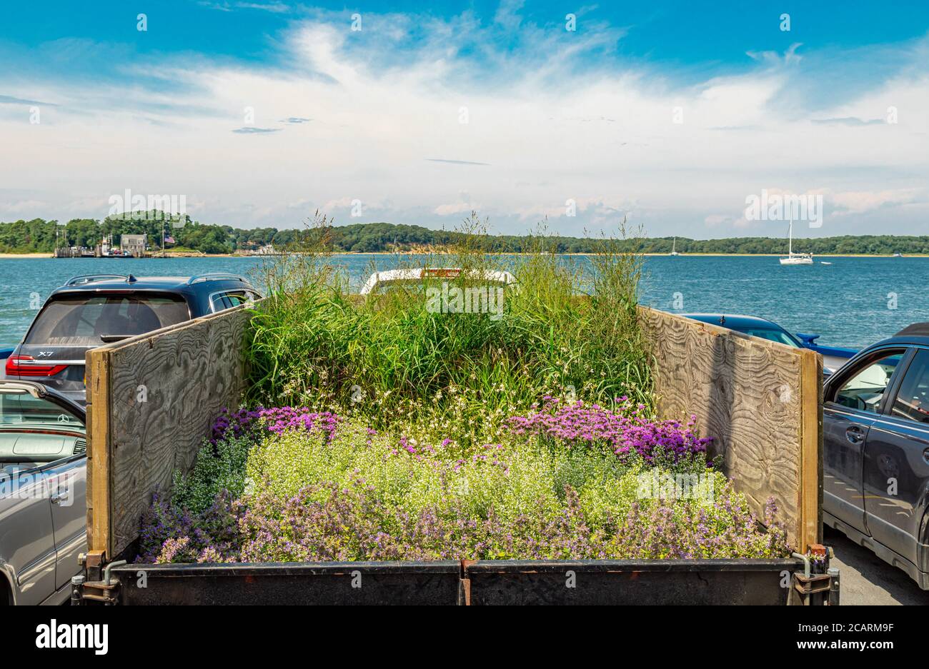 Anhänger voller Pflanzen auf der Shelter Island Ferry Stockfoto