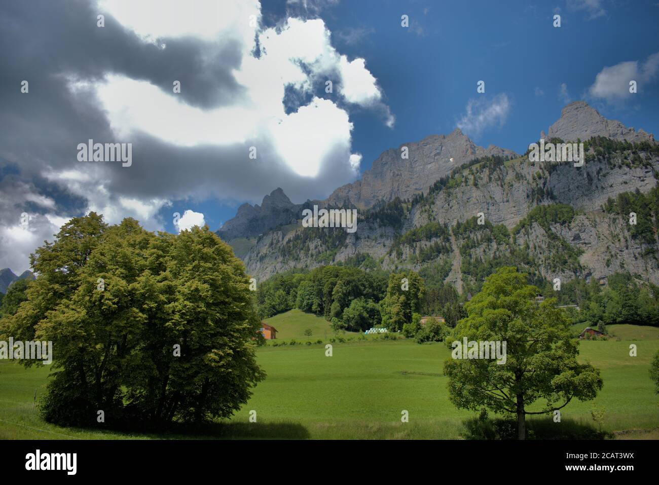 Bergkulisse vom Walenstadtberg in der Schweiz Stockfoto