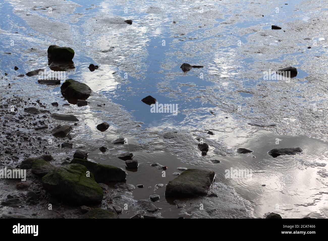 Der Rand des zurückgetretenen Wassers in einem Feuchtgebiet Sumpf Mit moosbedeckten Felsen und einer schönen Spiegelung der wolkiger Himmel im Wasser Stockfoto