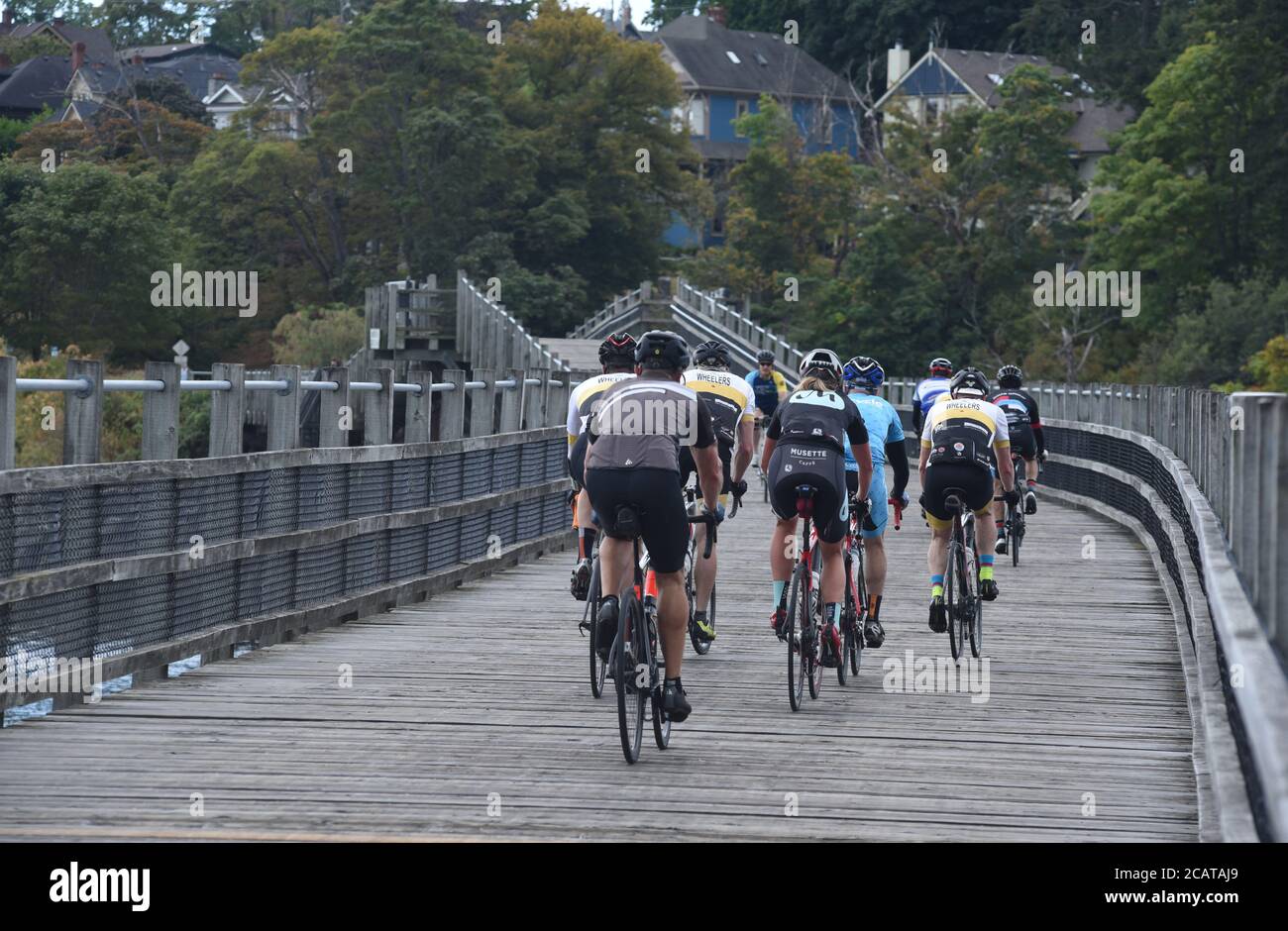 Eine Gruppe von Radfahrern fährt über das Selkirk Trestle in Victoria, British Columbia, Kanada auf Vancouver Island. Stockfoto