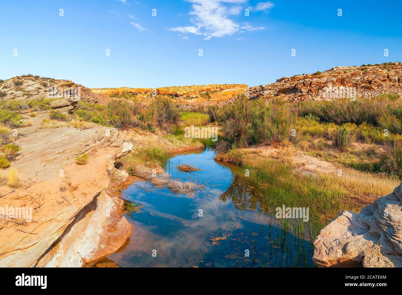 Blick auf den kleinen Bach vom Delicate Arch Trail. Kleine Oase in der Wüste. Arches National Park. Utah. USA Stockfoto