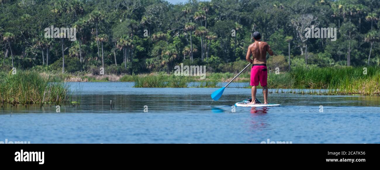 Paddelboarder erkunden die Guana River Küstenlandschaft in Ponte Vedra Beach, Florida. (USA) Stockfoto