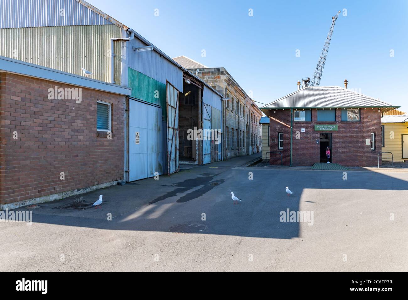Kakadu Island während der Sydney Biennale und nach dem Lockdown Ein sonniger Winternachmittag Stockfoto