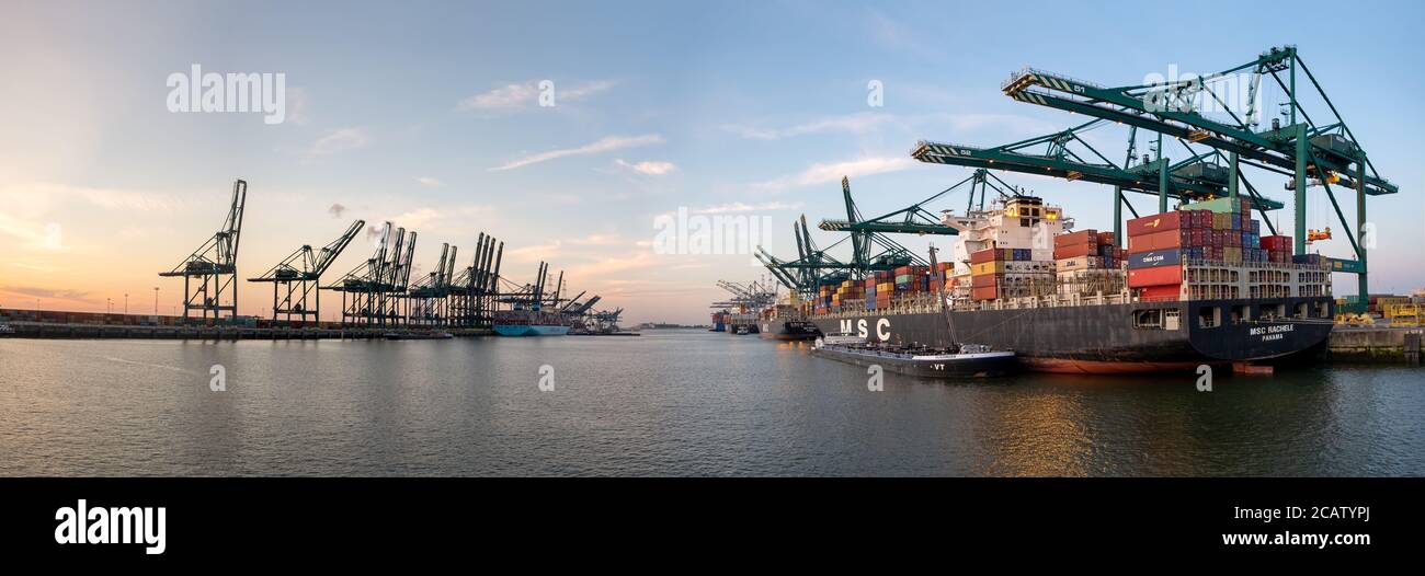 Panoramablick auf Hafenkrane und Containerschiffe in der Größte Anlegestelle des Hafens von Antwerpen Stockfoto