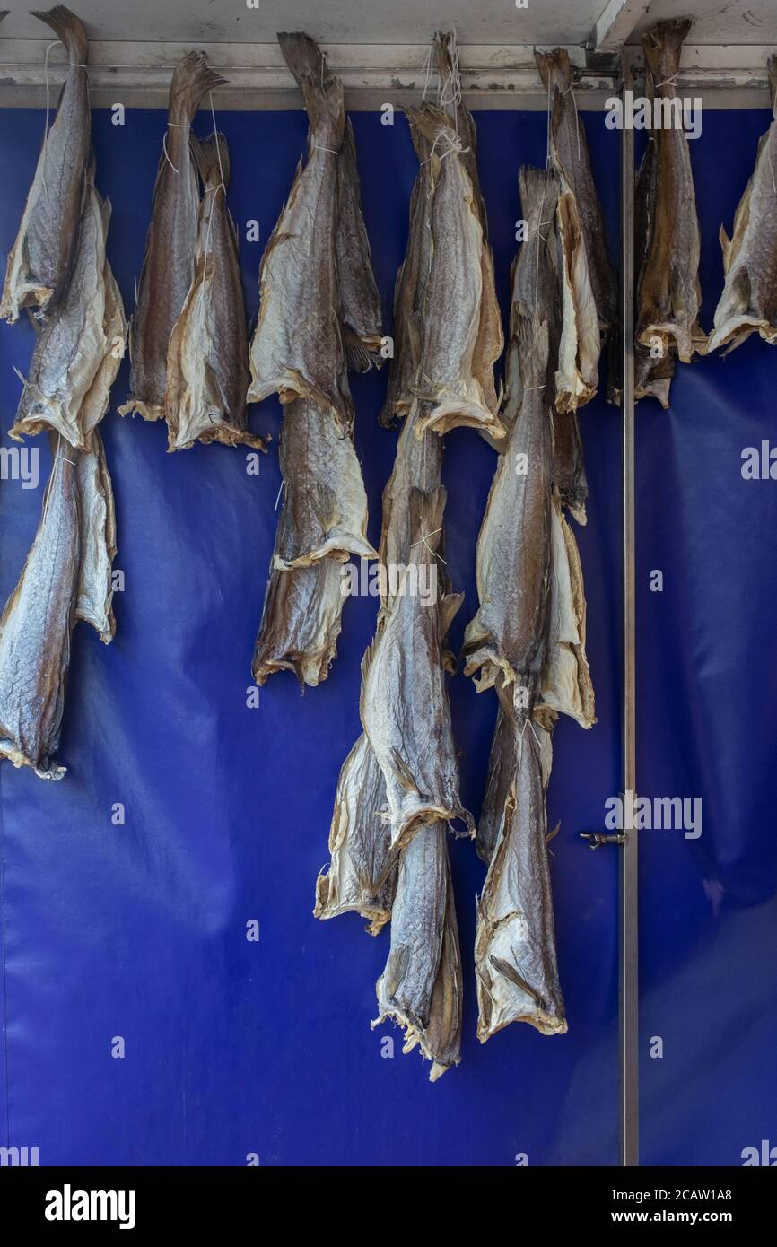 Nahaufnahme von getrocknetem Wittling (oder Merling) Fisch vor blauem Hintergrund auf einem Fischmarkt Stockfoto