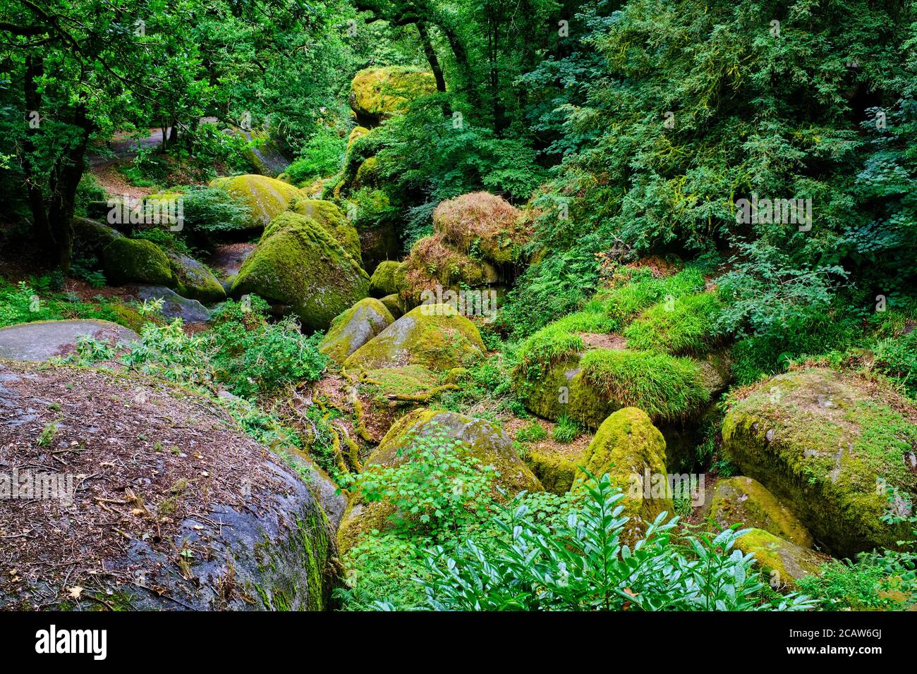 Frankreich, Finistere (29), regionaler Naturpark von Armorique, Huelgoat, Granit Chaos des Waldes von Huelgoat Stockfoto
