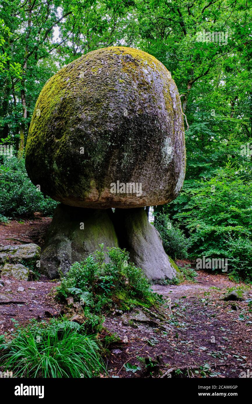 Frankreich, Finistere (29), regionaler Naturpark von Armorique, Huelgoat, Granit Chaos des Waldes von Huelgoat, Pilz Rock Stockfoto