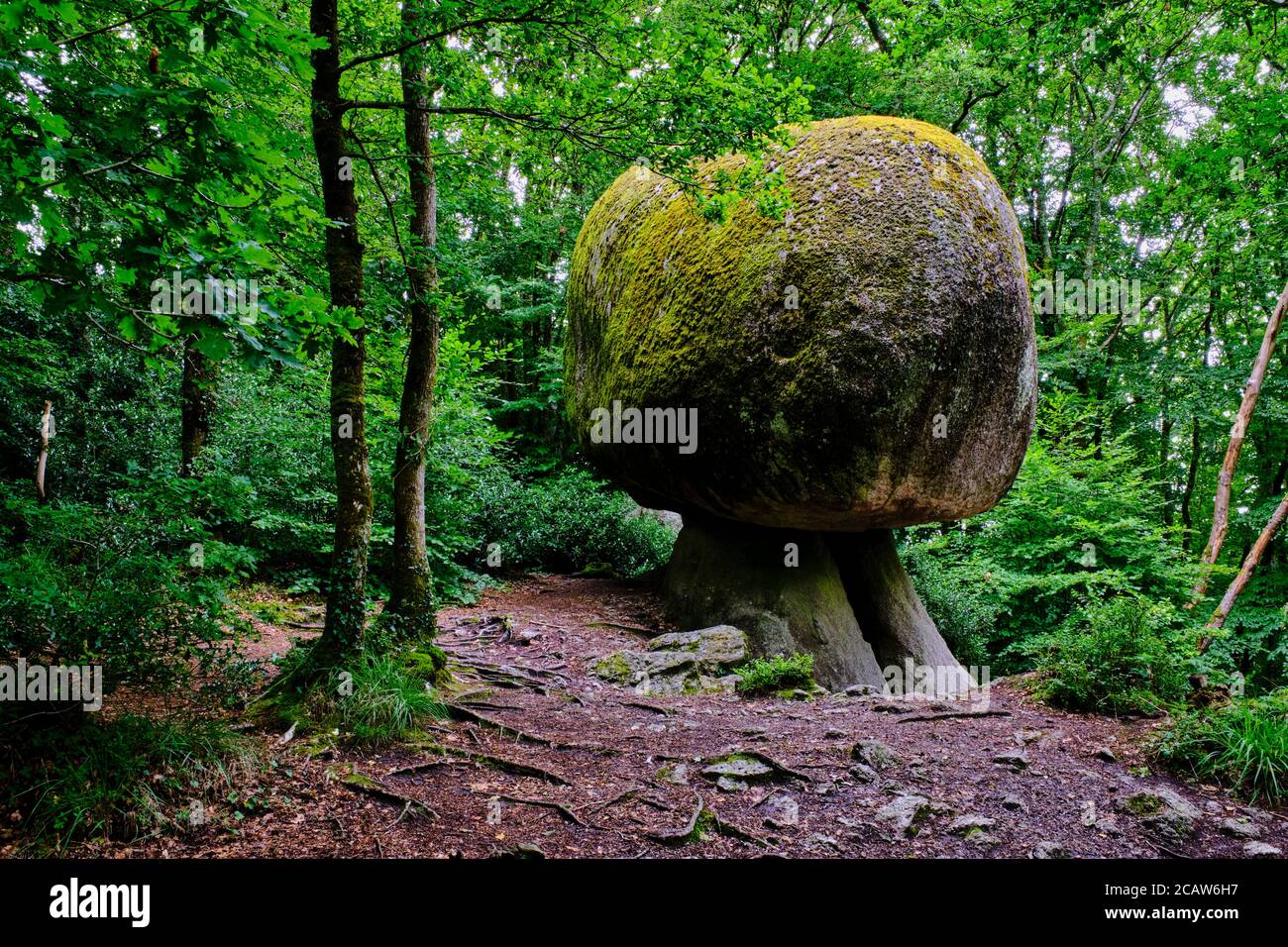 Frankreich, Finistere (29), regionaler Naturpark von Armorique, Huelgoat, Granit Chaos des Waldes von Huelgoat, Pilz Rock Stockfoto