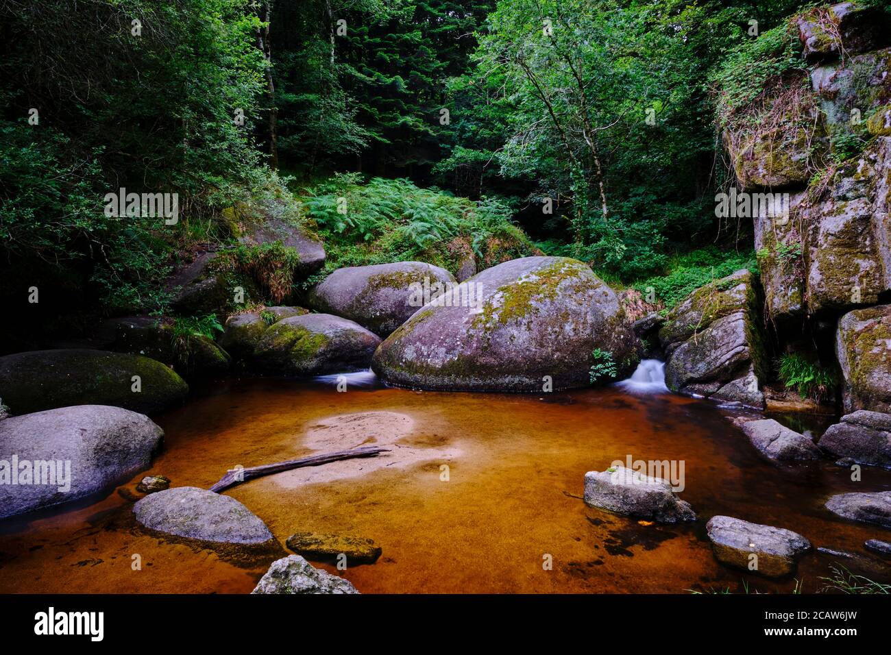 Frankreich, Finistere (29), regionaler Naturpark von Armorique, Huelgoat, Granit Chaos des Waldes von Huelgoat Stockfoto