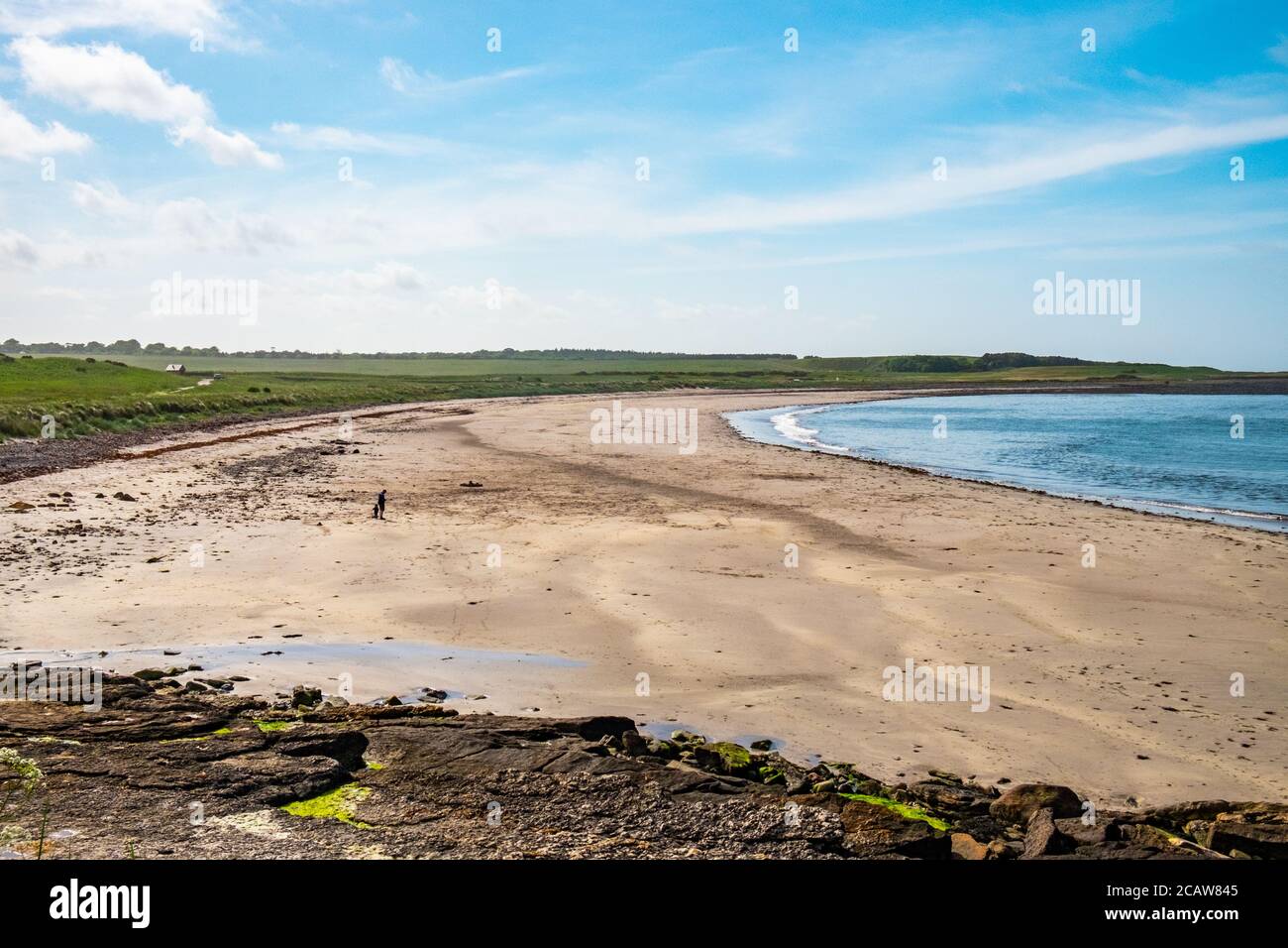 Blick auf den Strand in einem Park in der ländlichen Gegend von Edinburgh, Schottland. Stockfoto