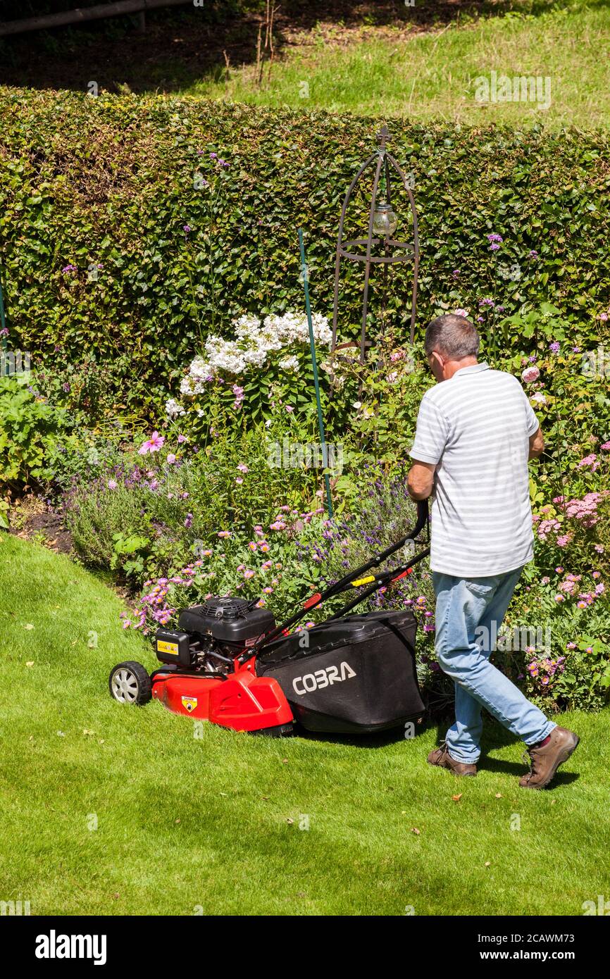 Mann mäht einen Rasen mit einem Rasenmäher Ein englischer Cottage Garden England Großbritannien Stockfoto