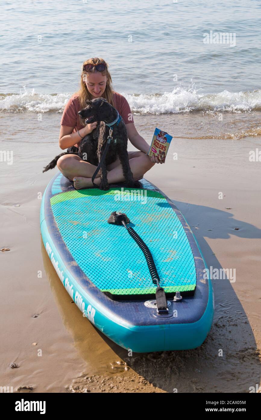 Junge Frau auf dem Paddleboard, Paddle Board, mit Kakadu Hund sitzt auf ihrem Schoß in Poole, Dorset, Großbritannien an heißen sonnigen Tag im August Stockfoto