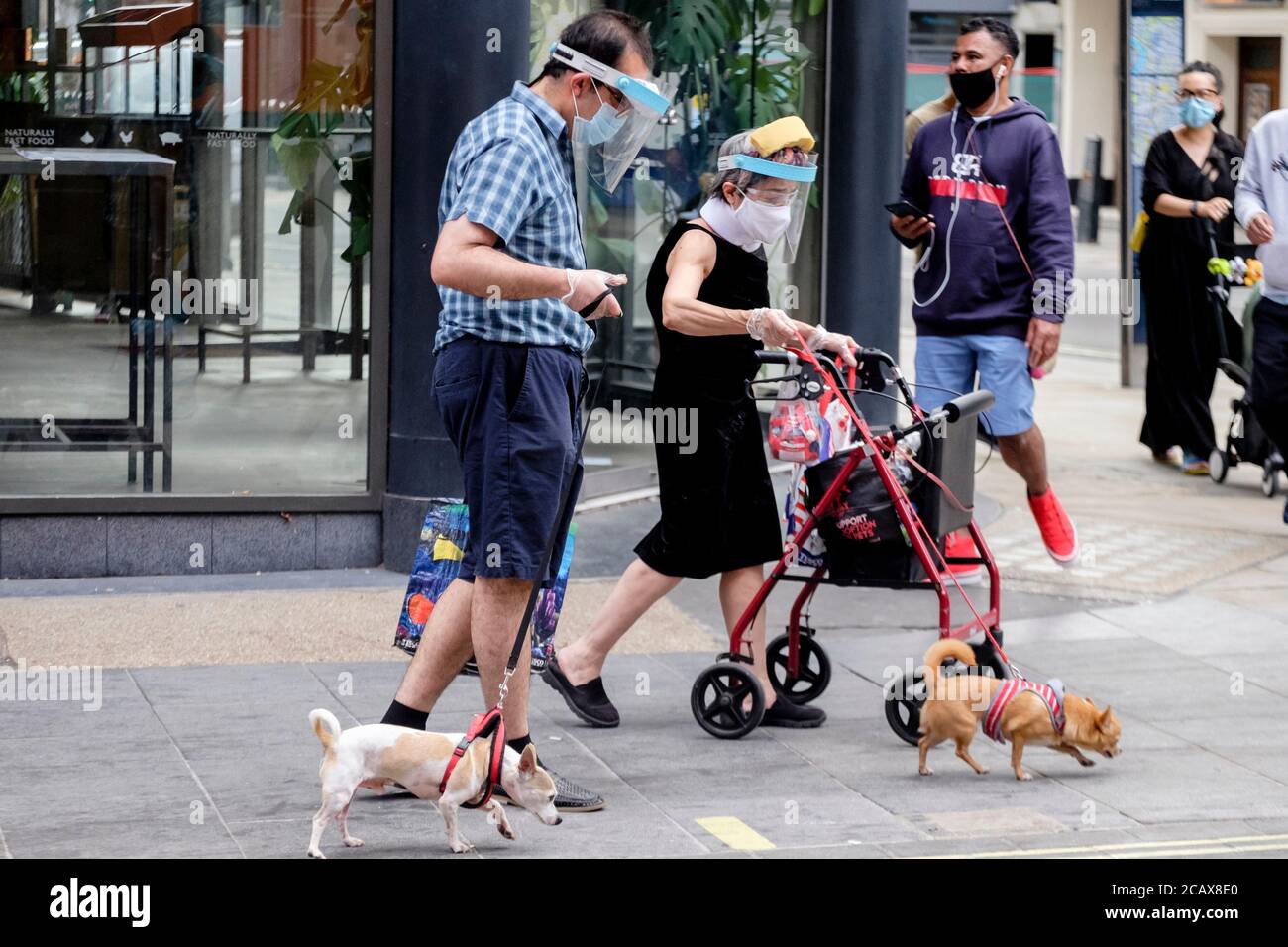 Ein Paar mit Gesichtsschilden, Masken und Handschuhen geht mit seinen Hunden auf die Straße, 2020. August, London, Großbritannien. Stockfoto