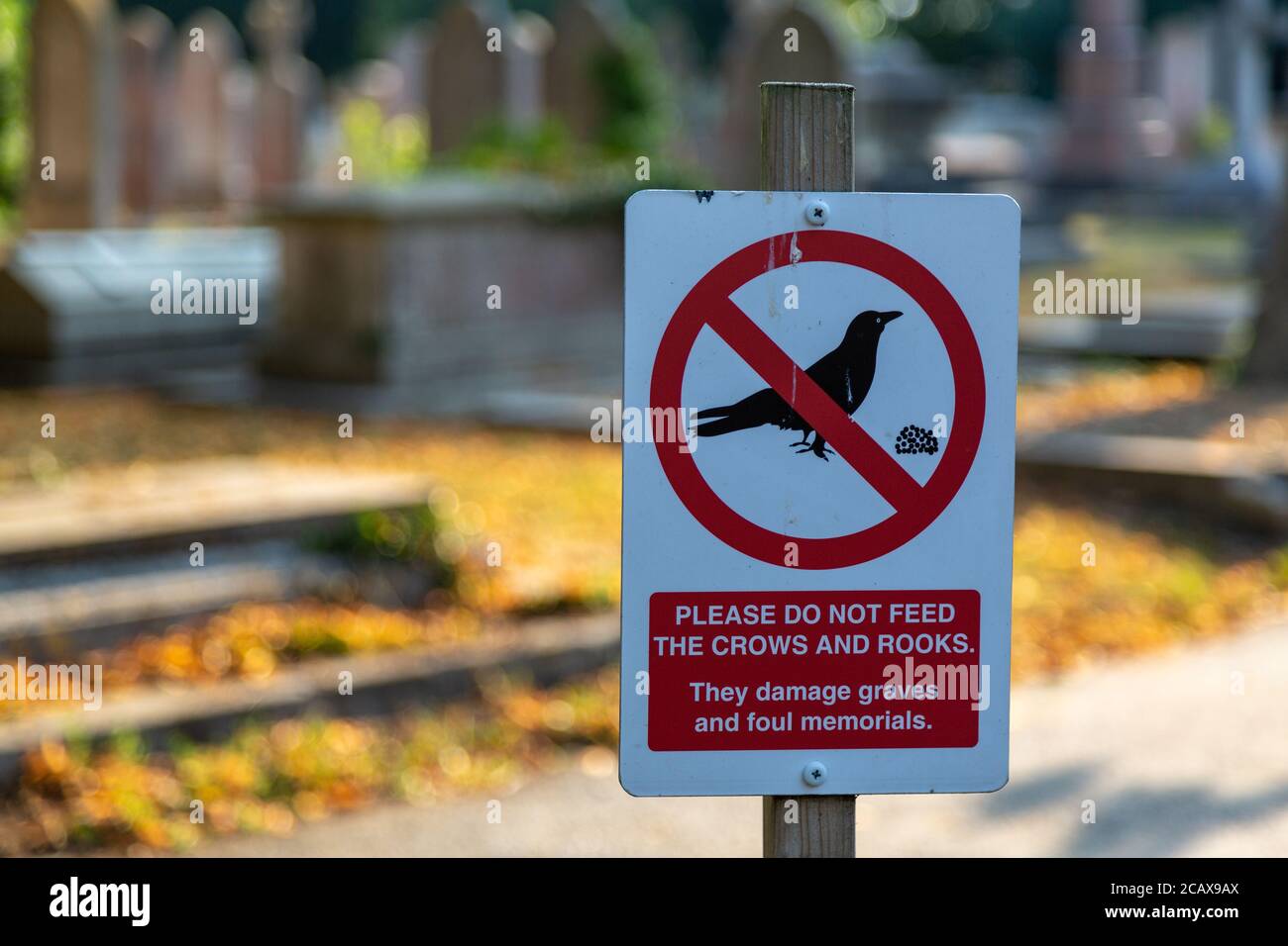 Ein Schild in einem Friedhof mit der Angabe nicht füttern die Krähen und Saatkrähen, die Gräber schädigen Stockfoto
