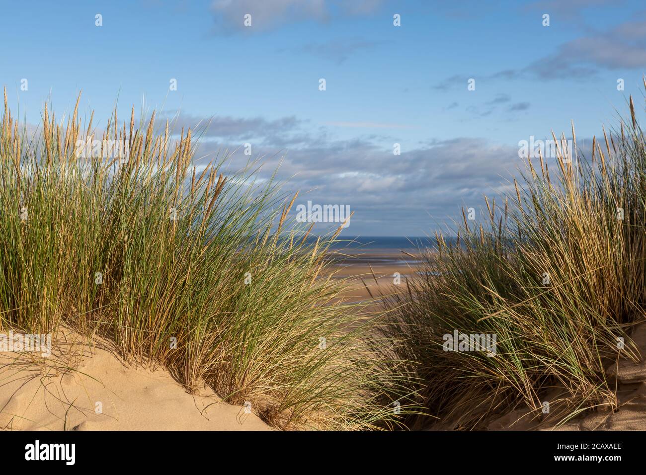 Blick durch das Marrammgras zum Strand, bei Formby in Merseyside Stockfoto