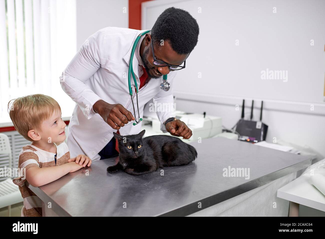 Handsome afrikanischen Arzt Tierarzt untersucht niedlichen Katze, während sein Besitzer in der Nähe steht, zuversichtlich Arzt inspiriert Vertrauen Stockfoto