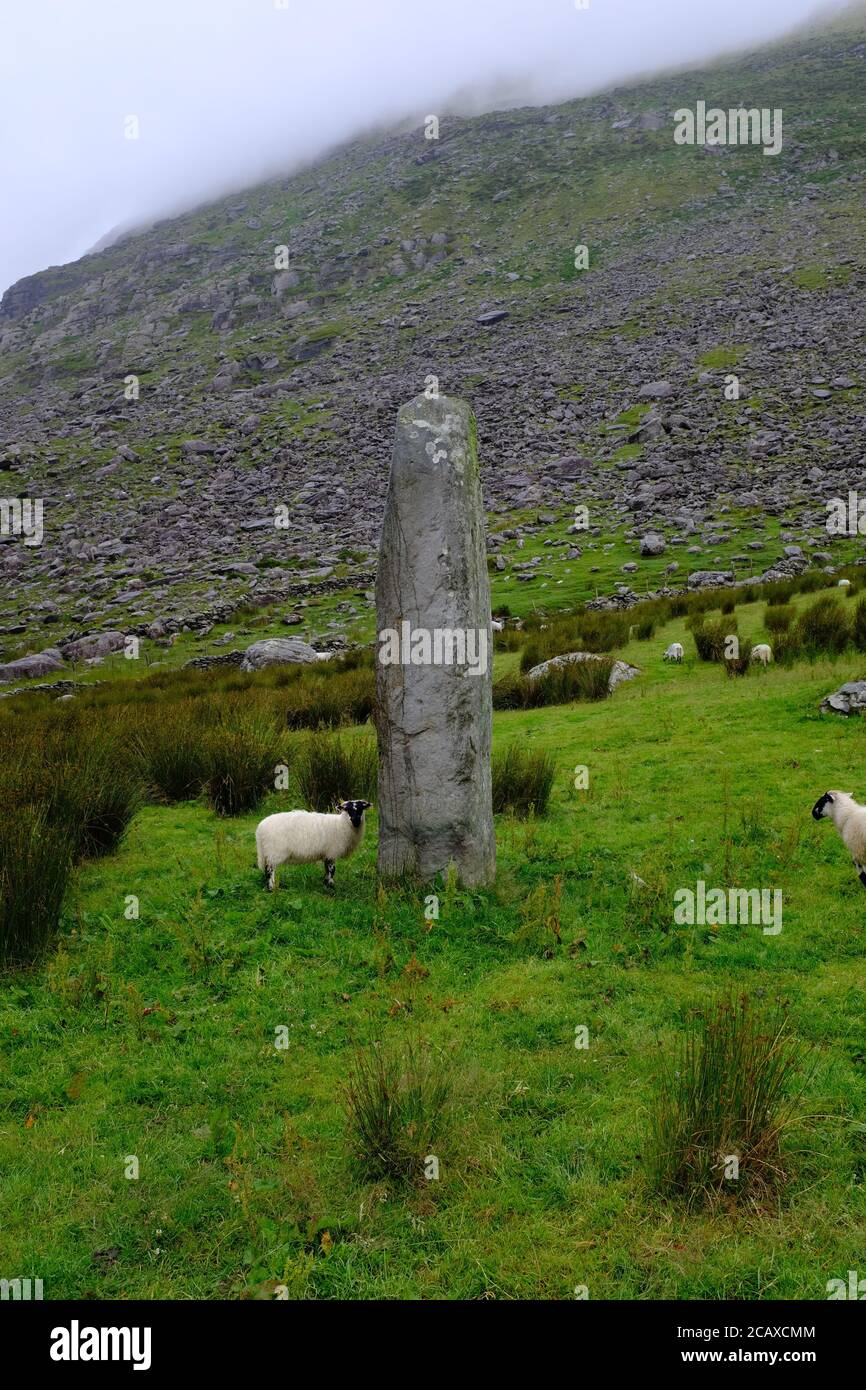 Spaziergang auf dem Kerry Way in 2019 in Count Kerry in Der Süden Irlands rund um die Halbinsel Iveragh Glencaré Nach Black Valley Stockfoto