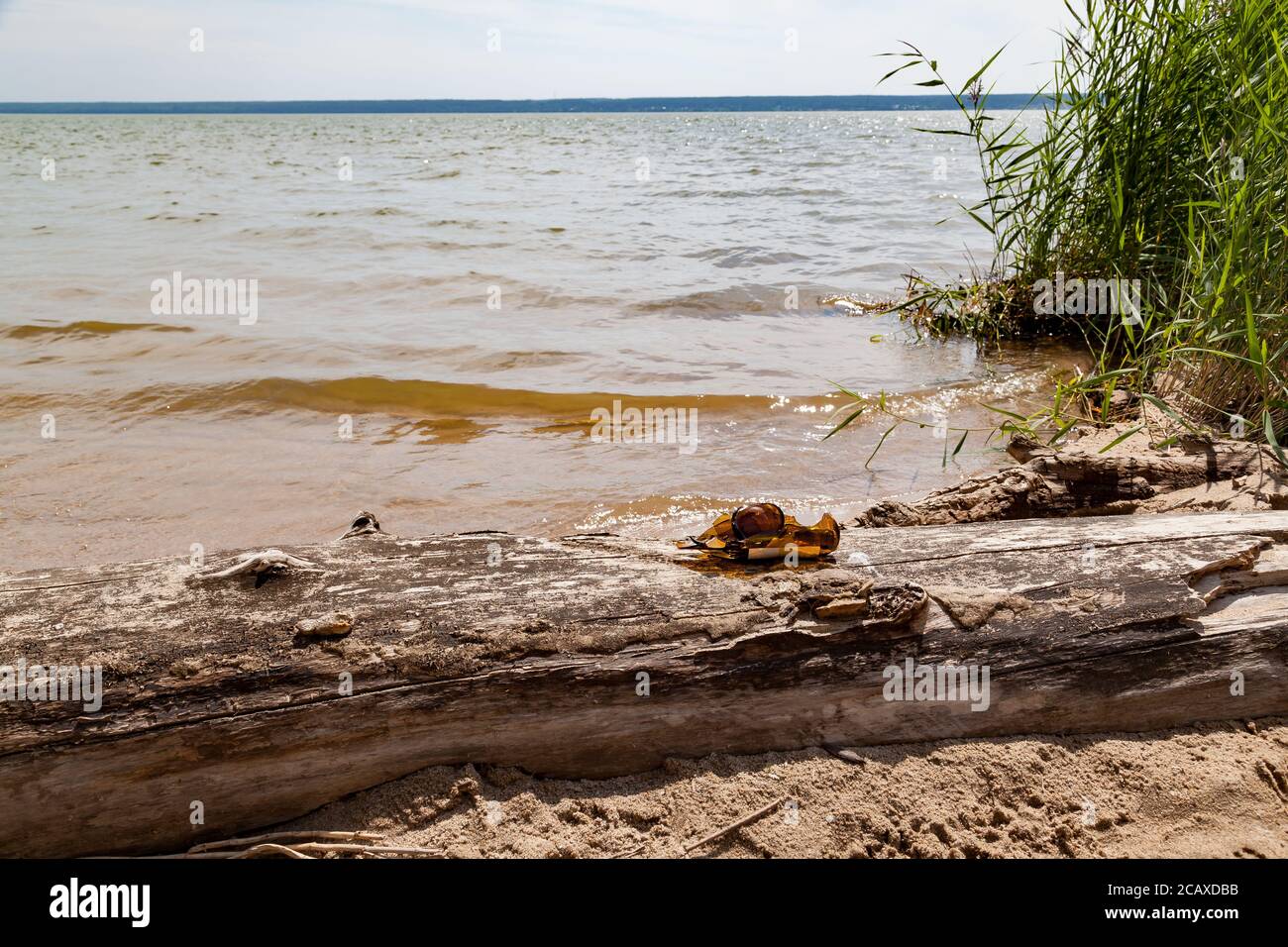 Zerbrochene Glasflasche am Strand, Fragmente liegen auf einem Baumstamm am Ufer vor dem Hintergrund von Wasser, Sand und grünen Büschen an einem Sommertag. Pollutio Stockfoto