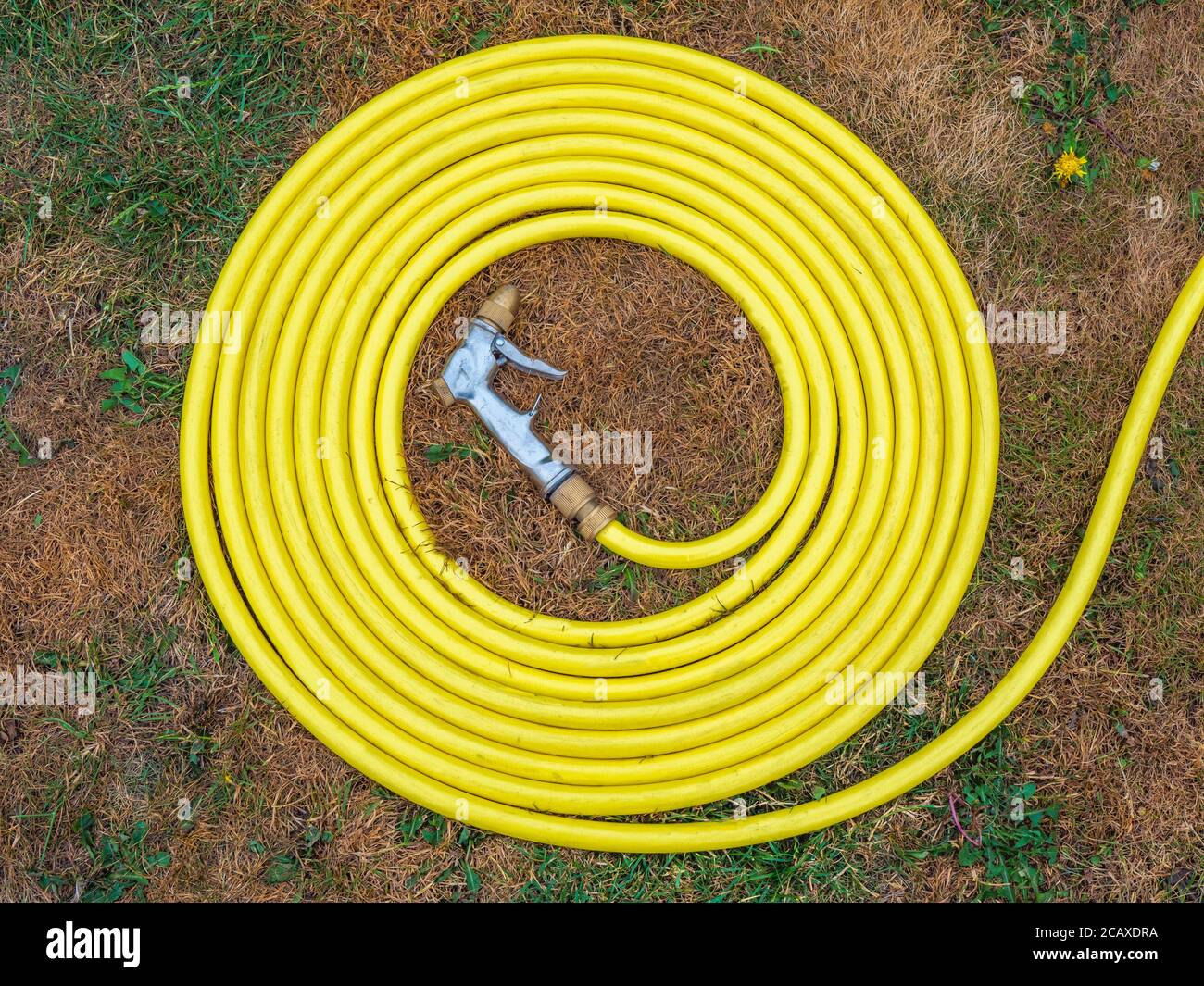 Ein gelber Wasserschlauch ohne Brandmarke, mit angefügter Spritzpistole, auf ausgetrockentem braunem Gras in einem Gebiet, in dem ein Wassermangel zu einem Schlauchleitungsverbot geführt hat. Stockfoto