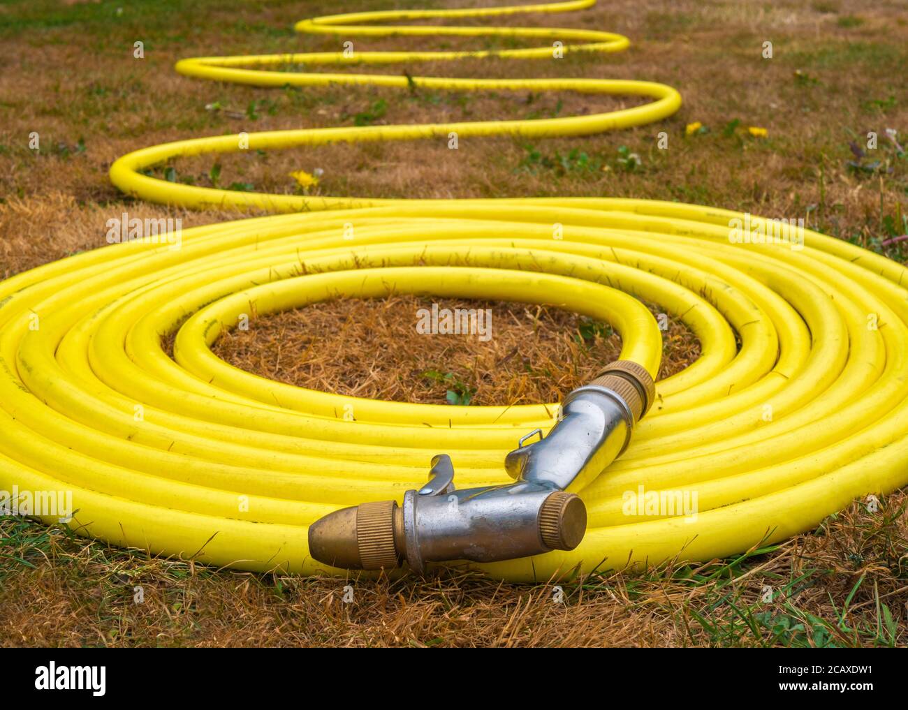 Ein gelber Wasserschlauch ohne Brandmarke, mit angefügter Spritzpistole, auf ausgetrockentem braunem Gras in einem Gebiet, in dem ein Wassermangel zu einem Schlauchleitungsverbot geführt hat. Stockfoto