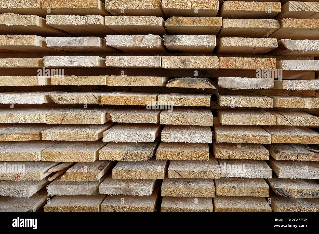 Stapel von natürlichen rauhen Holzbrettern Nahaufnahme. Lagerung von Holz in einer Tischlerei oder in einem Sägewerk Stockfoto